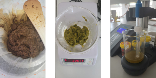 Amarela: Transformando la Industria Láctea con Tradición y Sostenibilidad. Proceso 1