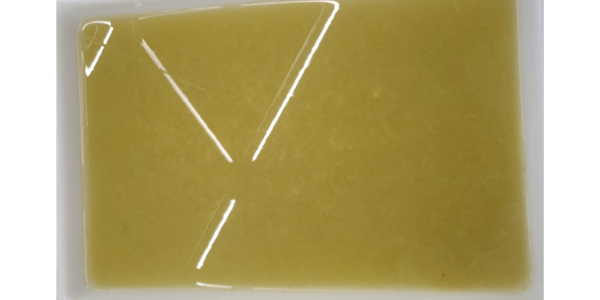 Amarela: Transformando la Industria Láctea con Tradición y Sostenibilidad. Proceso 2