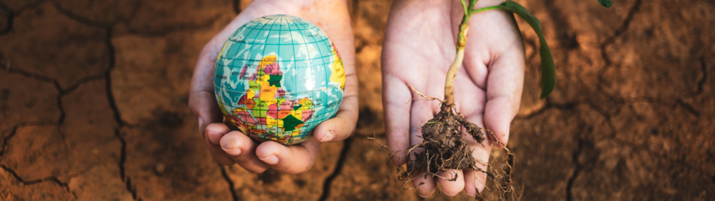El papel del consumidor en el medioambiente