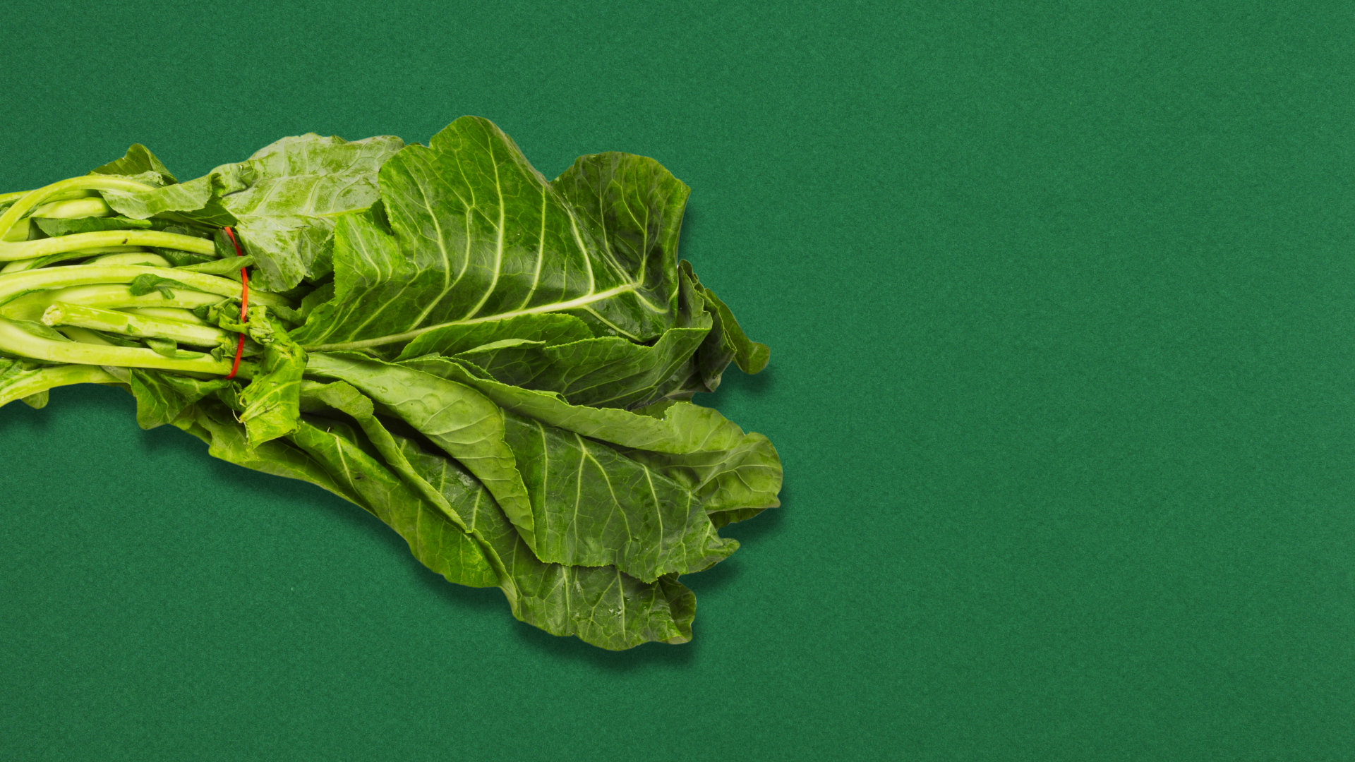 papel biodegradable packaging alimentario
