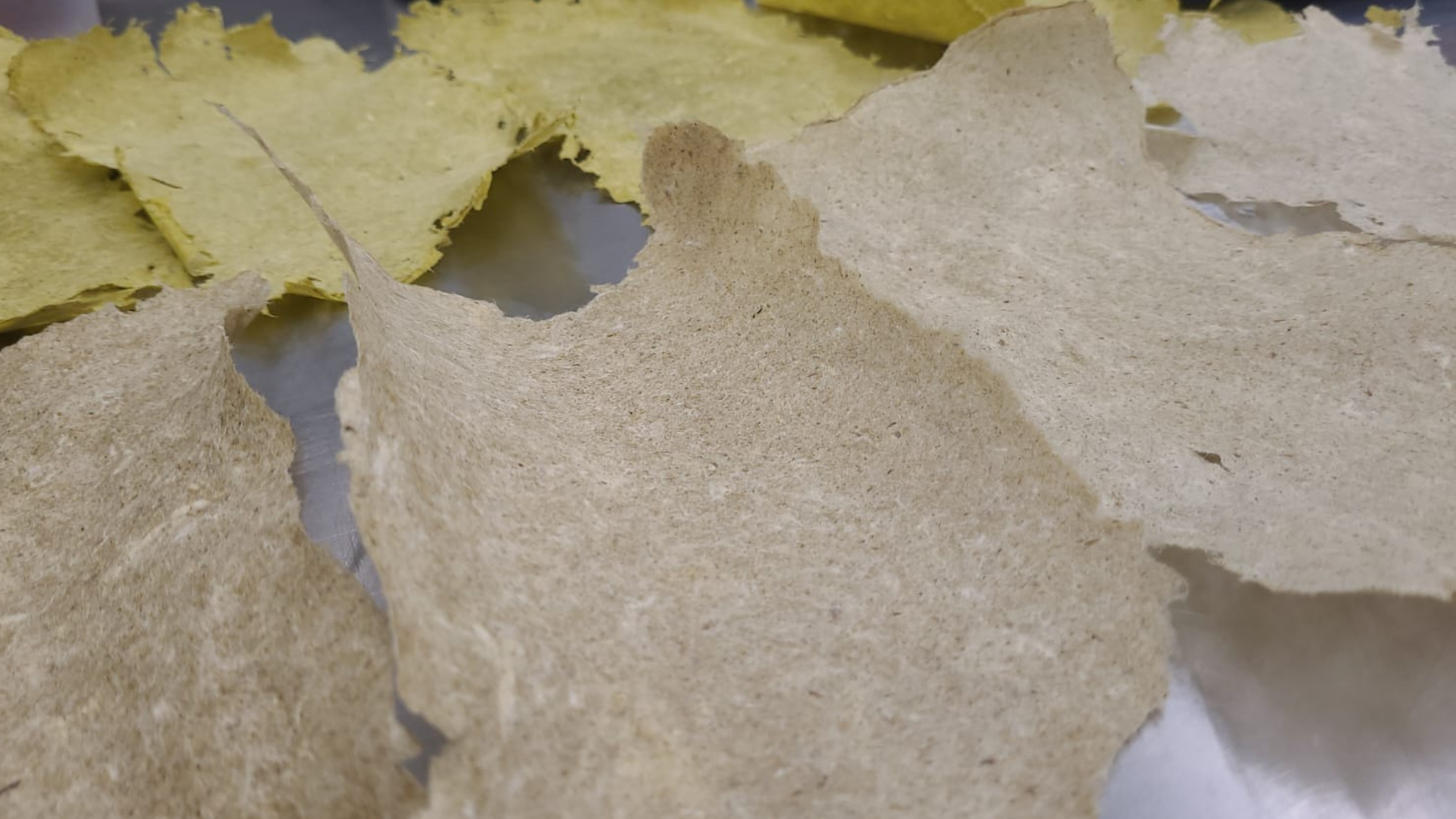 PAPEL FONDO VIDEO ELABORACION 1